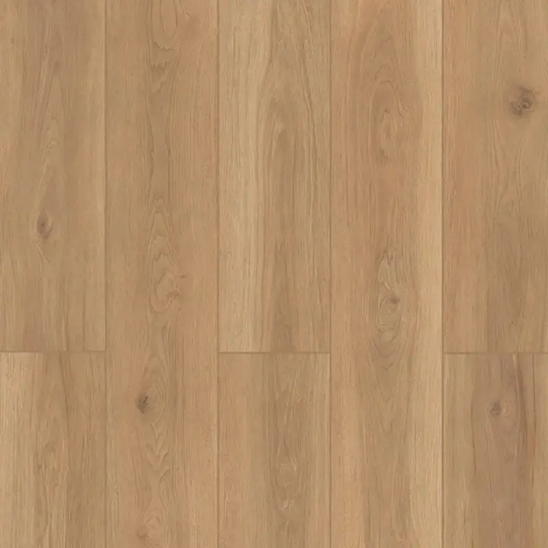 Backyard Garnish Lions Floor Nature-Inspired Unit – Lone Star Spirit Xl Collection 1