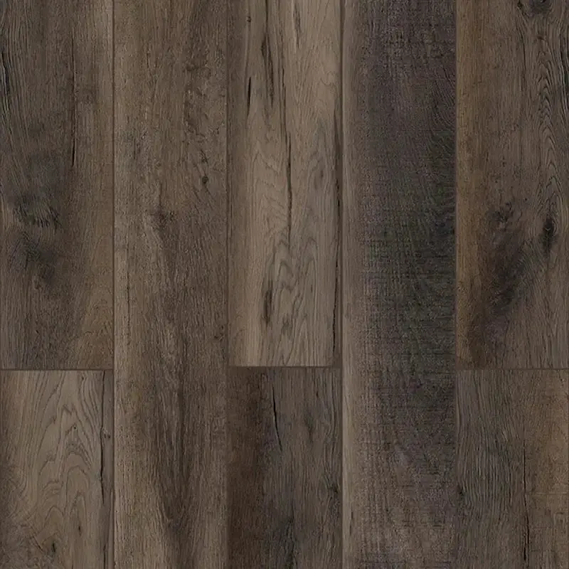 Ballroom Rodeo Lions Floor Loft – Lone Star Spirit Xl Collection 1