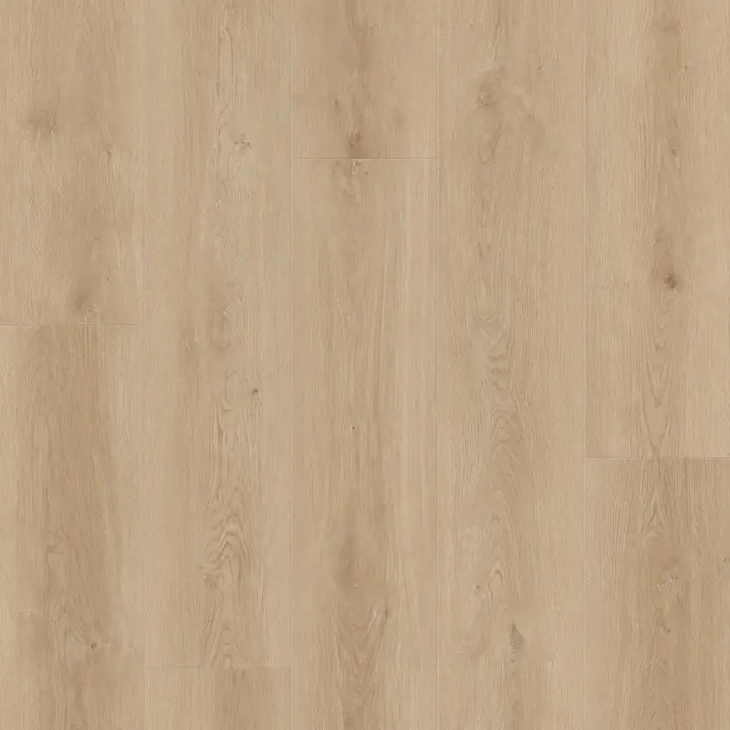 Baywood Place Lions Floor Home – Comfort Heights Series 1