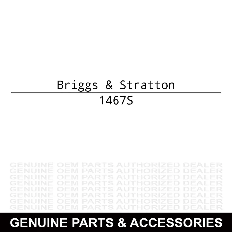 Briggs & Stratton 5-Gallon Diesel View Can With Clear Sight Gauge For Easy Monitoring 1