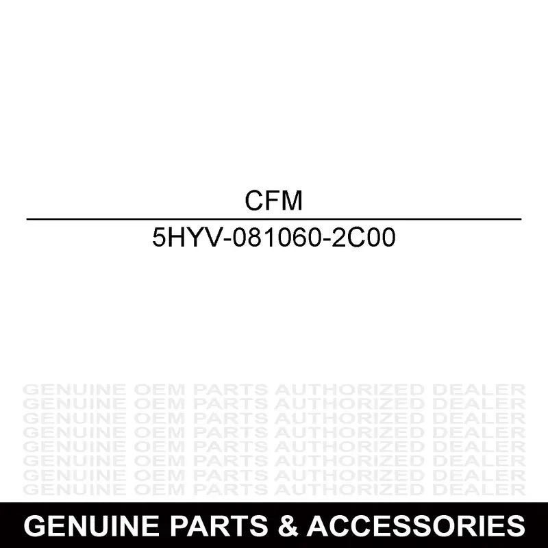 Cfmoto 5Hyv-081060-2C00 Right Rear Brake Caliper Assembly 1
