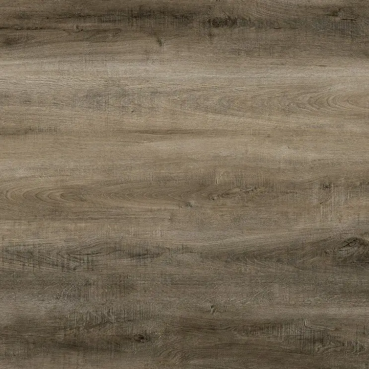 Medieval Lions Floor – Natural Essence+ Collection Timeless Antique Flooring 1