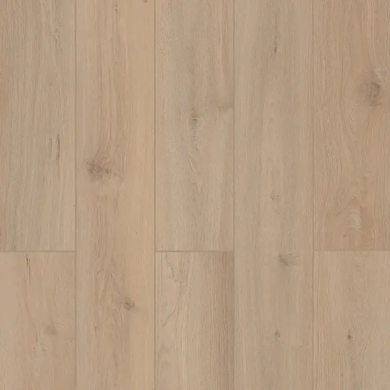 Sea Shell Lions Floor Coastal-Inspired Unit – Lone Star Spirit Xl Collection 1