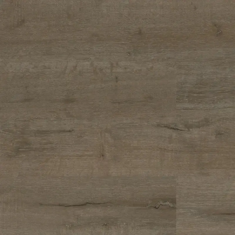Trinity Paradigm Vinyl Plank – Balanced Micro-Bevel Styling 1